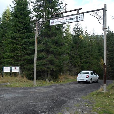 Cabana Cerbul-Oasa-Transalpina Ciban Exterior foto