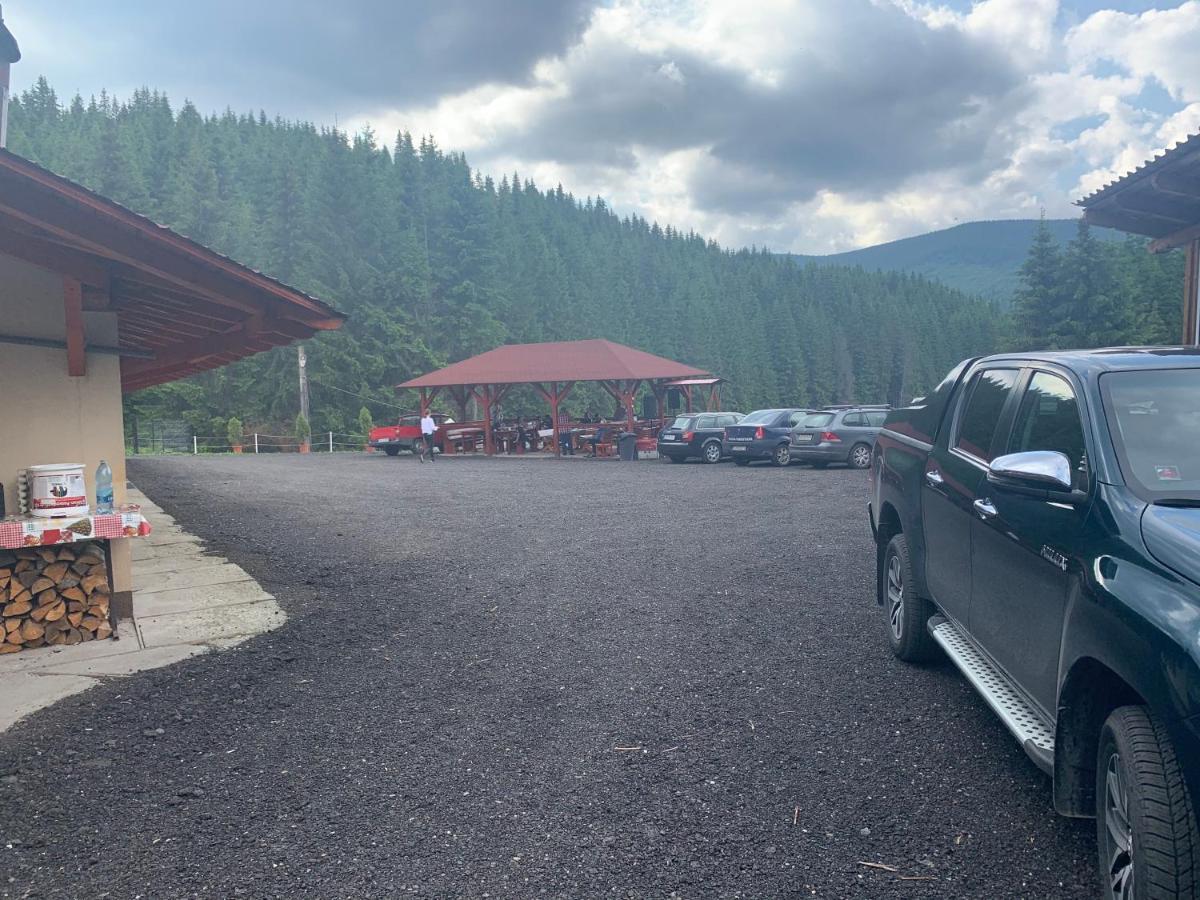 Cabana Cerbul-Oasa-Transalpina Ciban Exterior foto