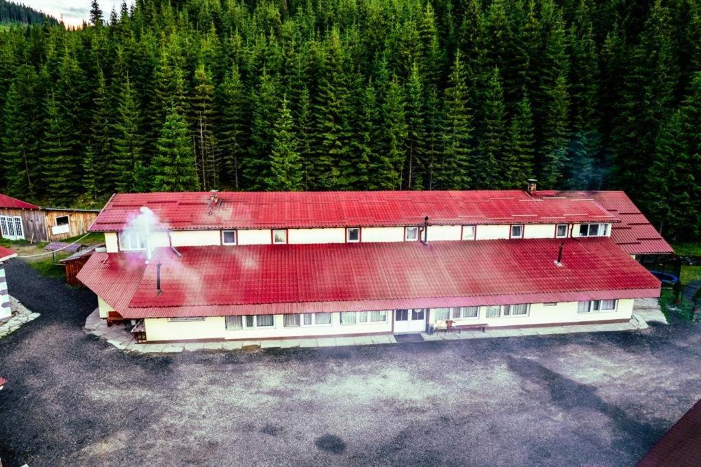 Cabana Cerbul-Oasa-Transalpina Ciban Exterior foto