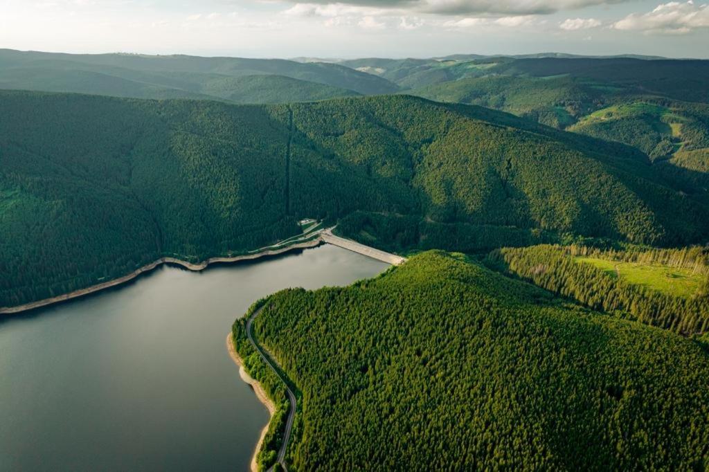 Cabana Cerbul-Oasa-Transalpina Ciban Exterior foto