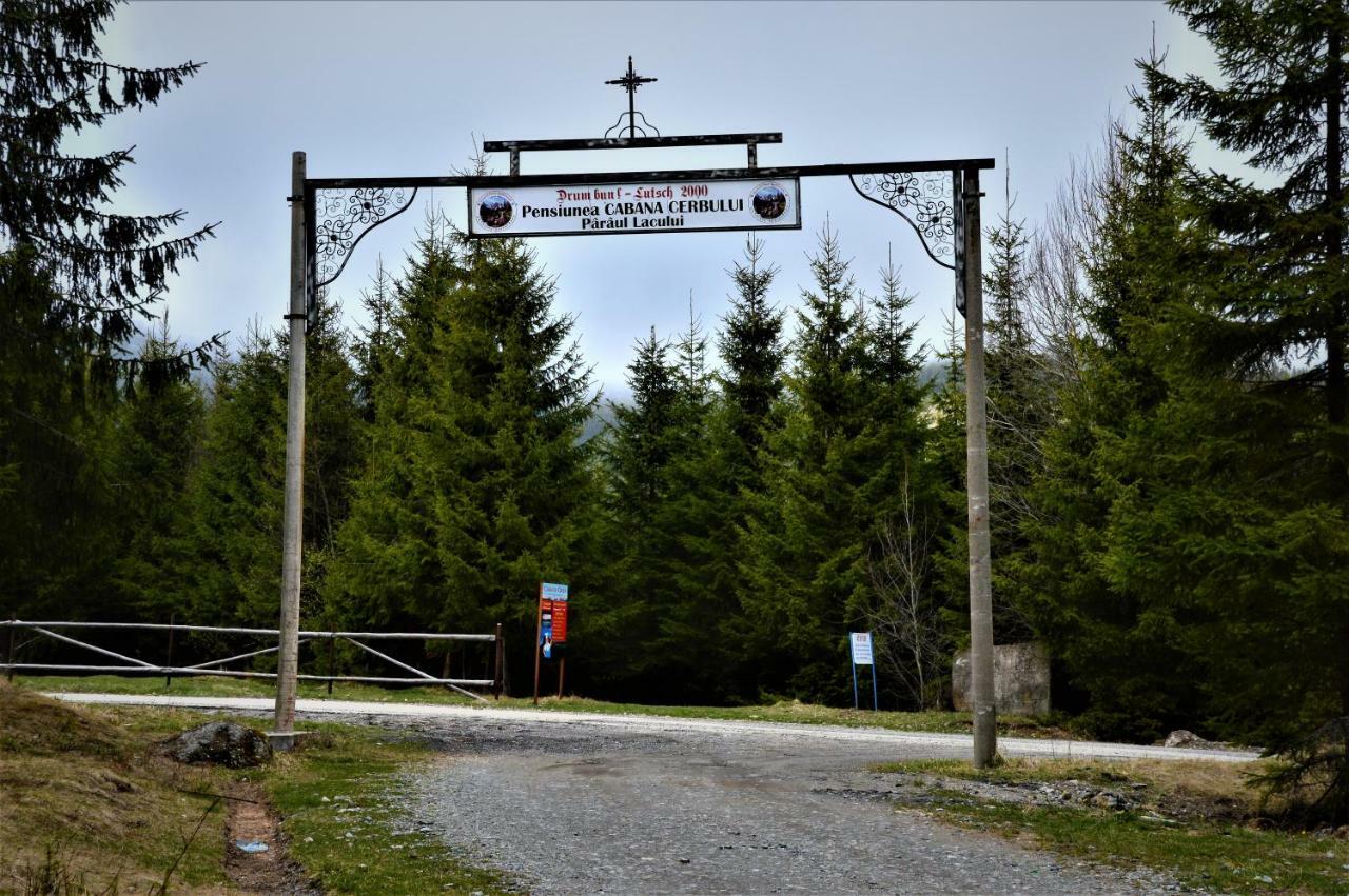 Cabana Cerbul-Oasa-Transalpina Ciban Exterior foto