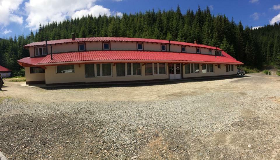 Cabana Cerbul-Oasa-Transalpina Ciban Exterior foto