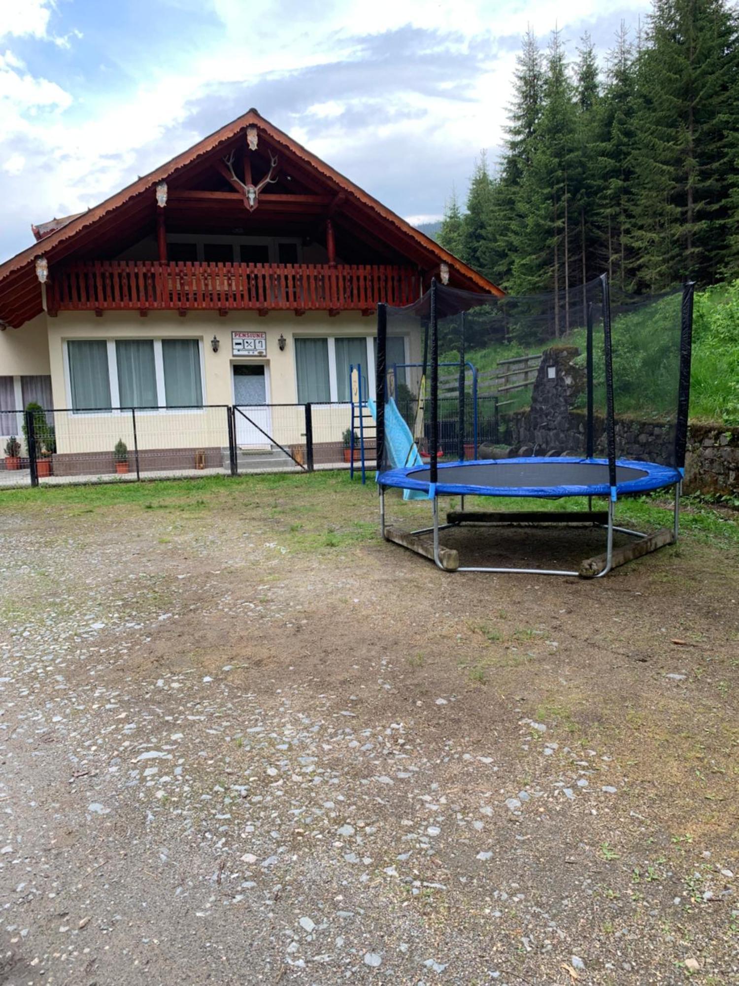 Cabana Cerbul-Oasa-Transalpina Ciban Exterior foto