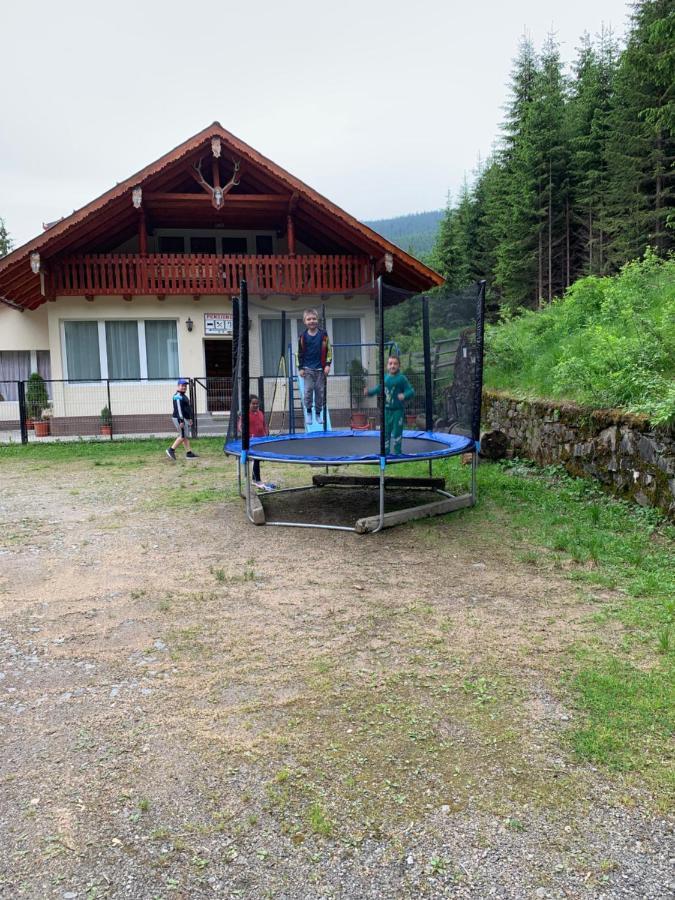 Cabana Cerbul-Oasa-Transalpina Ciban Exterior foto
