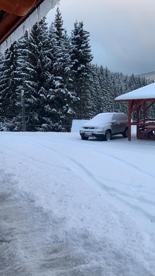 Cabana Cerbul-Oasa-Transalpina Ciban Exterior foto