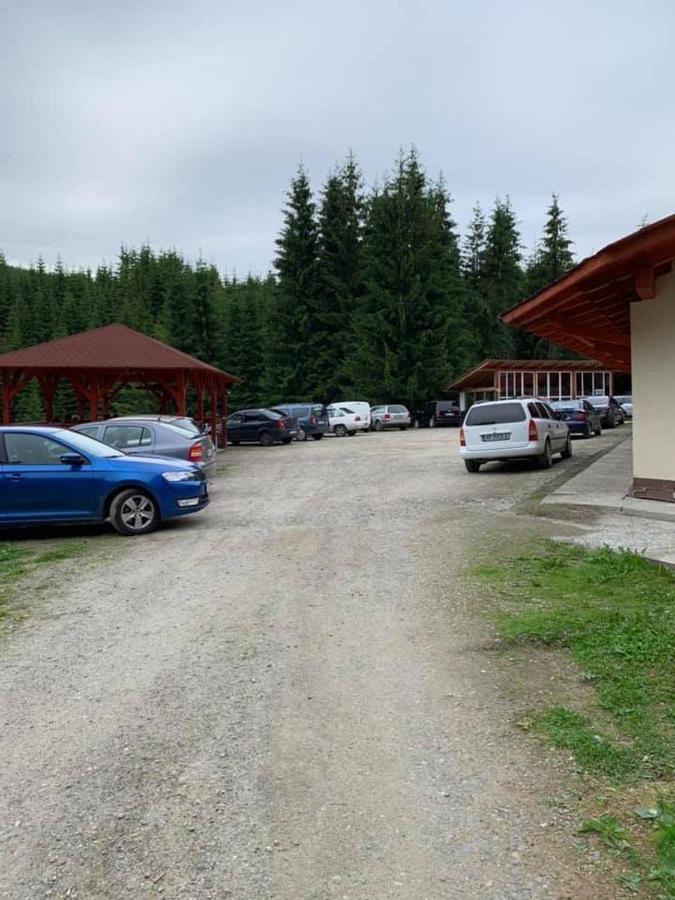 Cabana Cerbul-Oasa-Transalpina Ciban Exterior foto