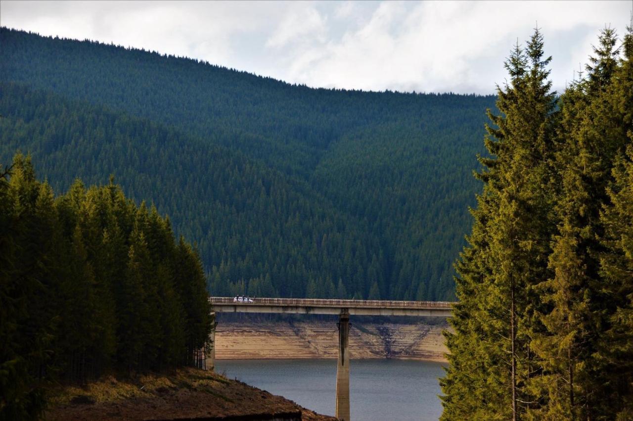 Cabana Cerbul-Oasa-Transalpina Ciban Exterior foto